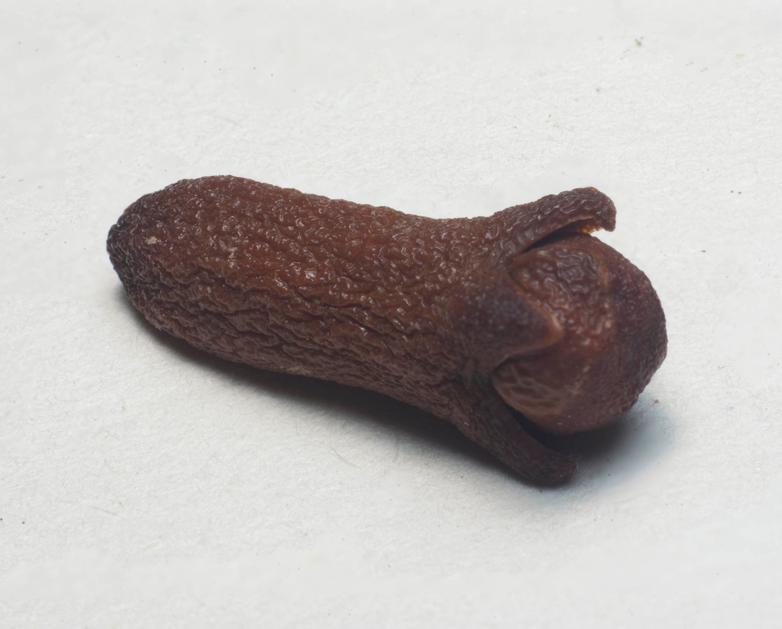 Cengkeh Pernah Menjadi Media Dakwah Para Kiai Jawa Tengah