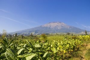 ilmu titen petani temanggung