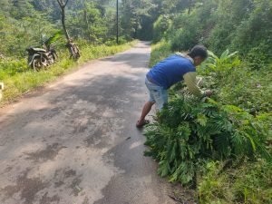 petani kudus