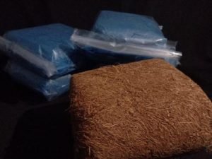 tembakau senang lombok
