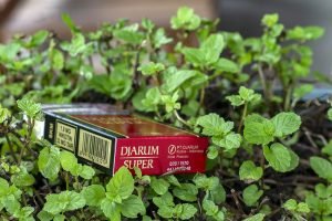 djarum super