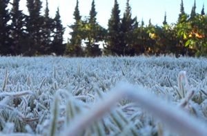 embun upas ranu pani