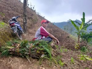 konservasi keperutan