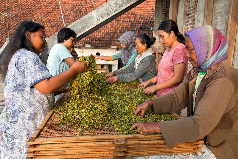 Tembakau Rejeb, Kekayaan Tembakau Kabupaten Magetan
