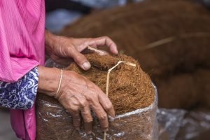 dana bagi hasil cukai