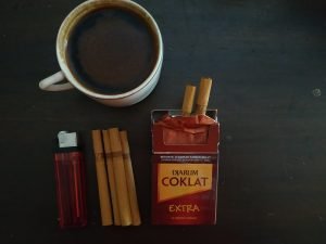 krketek menyelematkan negeti