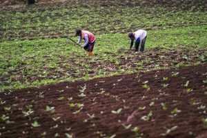 kenaikan cukai rokok mengancam hidup