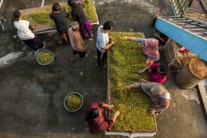 kematian industri hasil tembakau