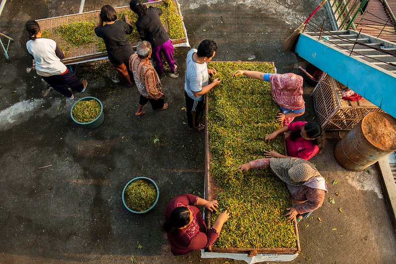 kematian industri hasil tembakau