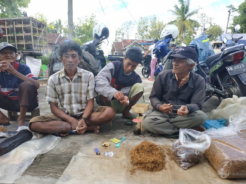 tradisi adu bako masyarakat