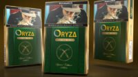 rokokok oryza aceh