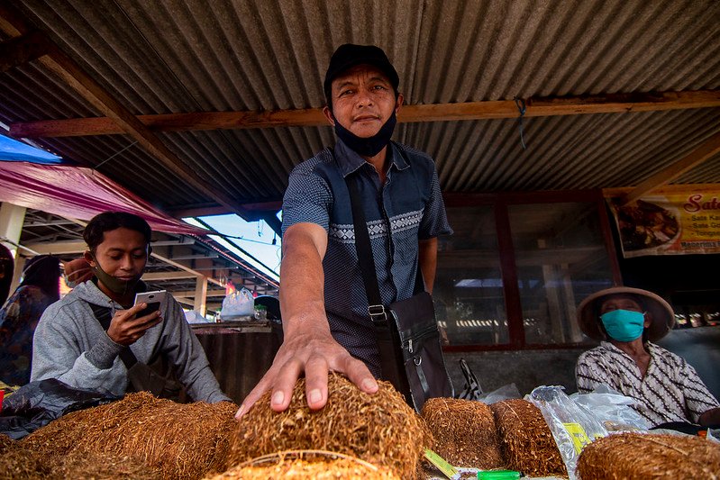 tembakau sebagai pestisida