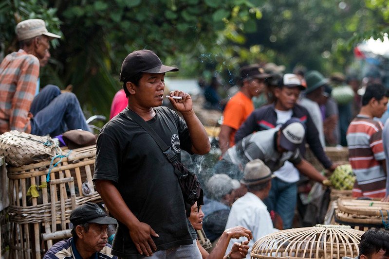 yayasan lentera anak