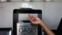 djarum oasis