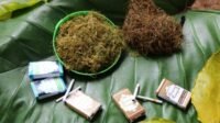 rokok daun talas batangan