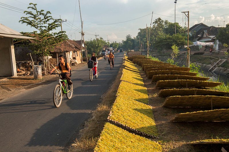 thr untuk biaya sekolah