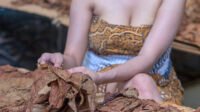 varietas tembakau nusantara