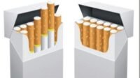 kemasan rokok polos