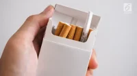 Rancangan Permenkes soal aturan bungkus rokok polos rugikan negara dan pekerja Boleh Merokok