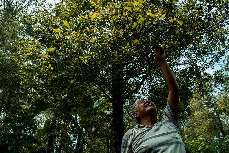 Memori Kelam TNI ke Ranah Sipil, Petani Cengkeh Jadi Korban Boleh Merokok