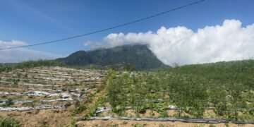 Lahan tembakau di Kecamatan Selo, Boyolali Boleh Merokok