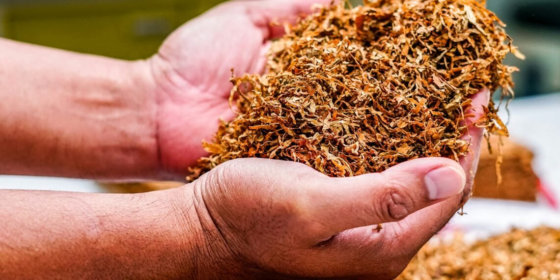 Perang nikotin: Tembakau ditekan agar antitembakau bisa jualan Boleh Merokok