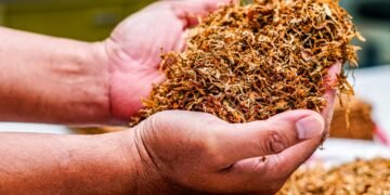 Perang nikotin: Tembakau ditekan agar antitembakau bisa jualan Boleh Merokok