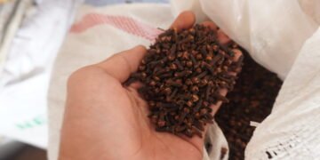 Cengkih Temanggung Boleh Merokok