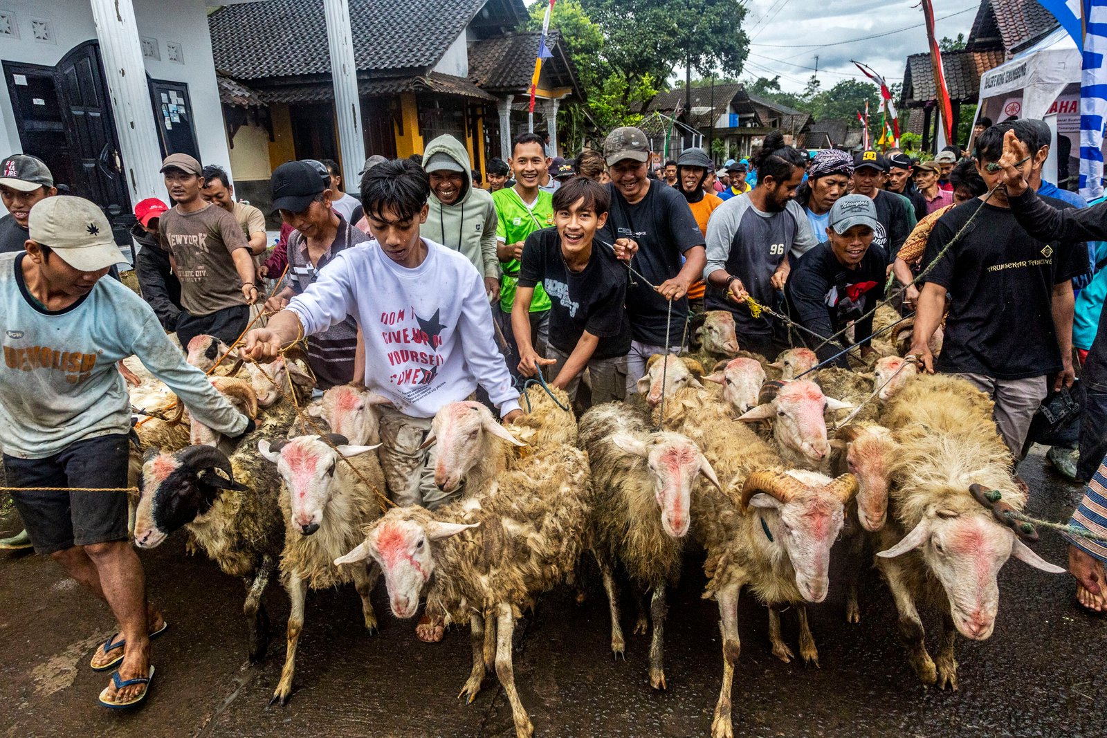 Kambing yang akan disembelih dikirab warga menuju makam Mbah Kiai Kramat. (Foto: BM/Eko Susanto)