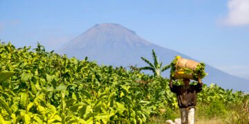 merokok atau tidak adalah pertanyaan bodoh