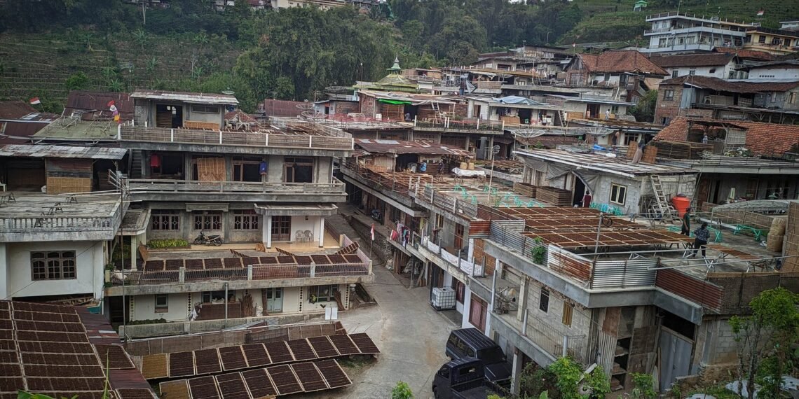 temanggung negeri tembakau yang dibunuh oleh antirokok