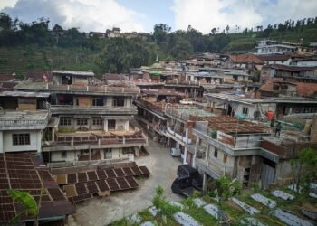 temanggung negeri tembakau yang dibunuh oleh antirokok
