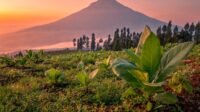 gunung sumbing adalah gunung yang sugih