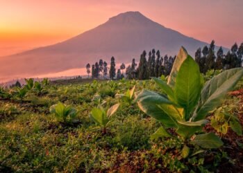 gunung sumbing adalah gunung yang sugih