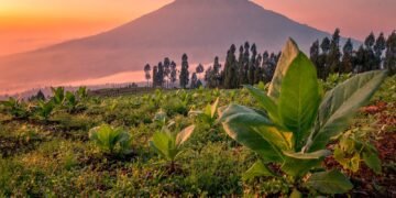gunung sumbing adalah gunung yang sugih