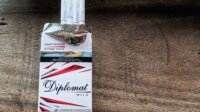 diplomat mild rokok nikmat dan murah