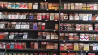 rekomendasi rokok musim kemarau